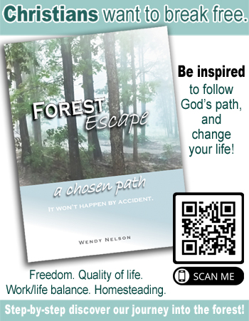 Forest Escape a chosen path book